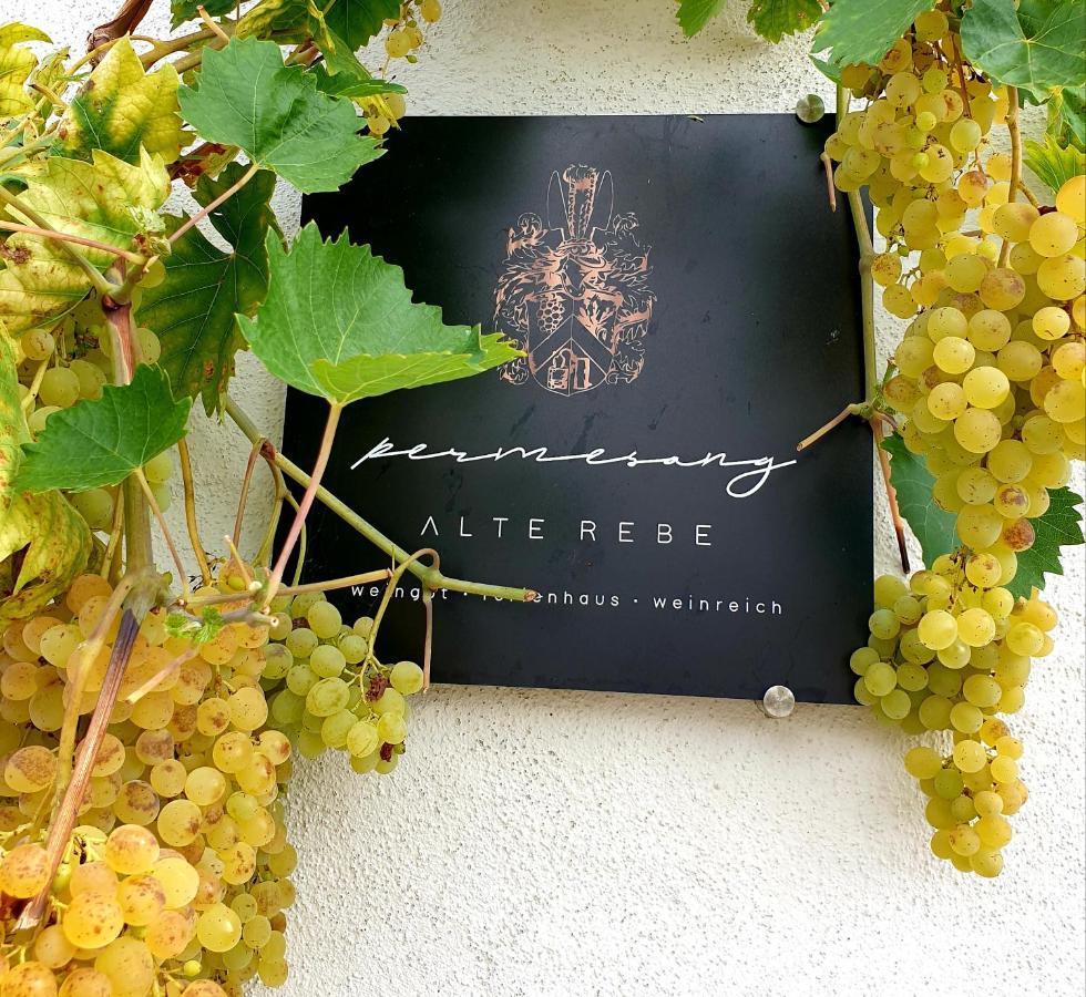 Zur Alten Rebe Ferienhaus Und Weingut Konz Dış mekan fotoğraf