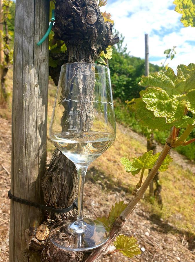 Zur Alten Rebe Ferienhaus Und Weingut Konz Dış mekan fotoğraf