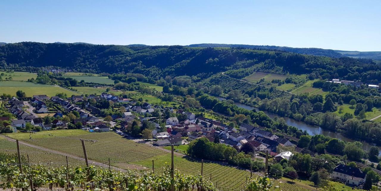 Zur Alten Rebe Ferienhaus Und Weingut Konz Dış mekan fotoğraf