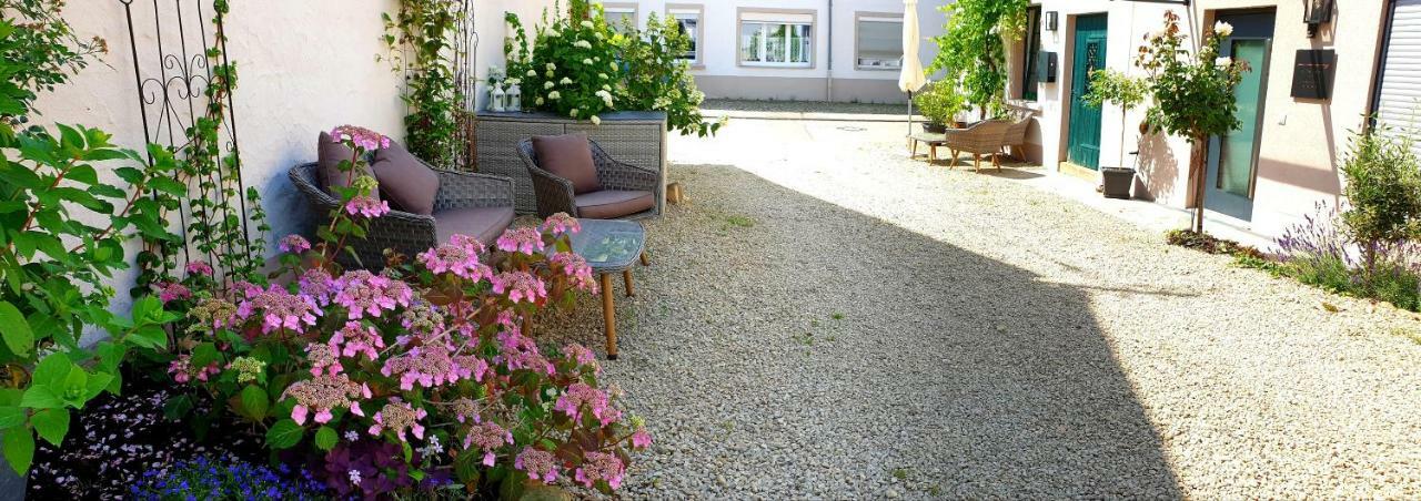 Zur Alten Rebe Ferienhaus Und Weingut Konz Dış mekan fotoğraf