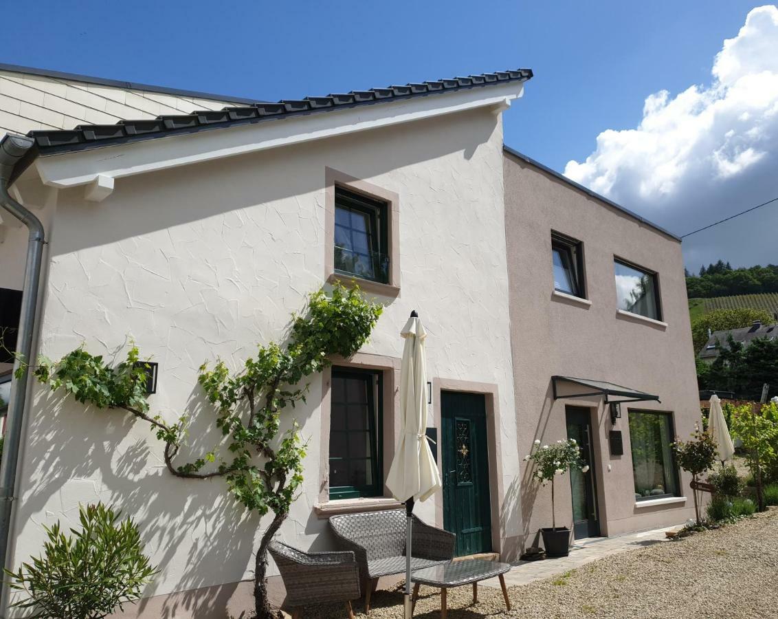 Zur Alten Rebe Ferienhaus Und Weingut Konz Dış mekan fotoğraf