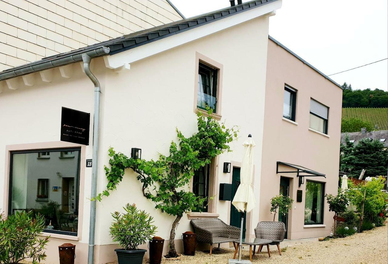 Zur Alten Rebe Ferienhaus Und Weingut Konz Dış mekan fotoğraf